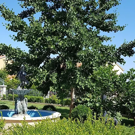Ginkgo 4 By Interhome Διαμέρισμα *